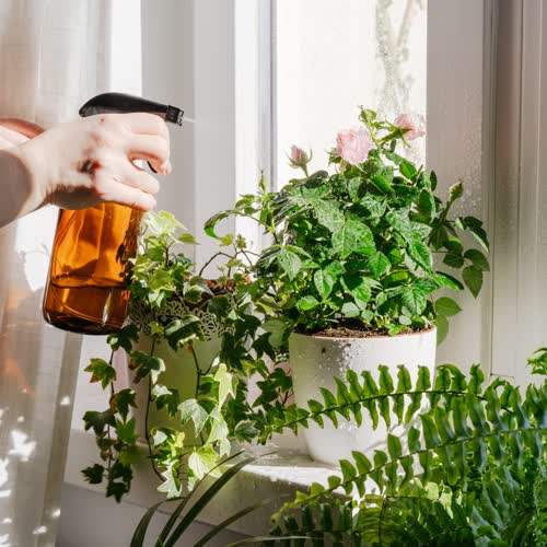 Pflanzenbewässerung im Urlaub: Mit diesen Tipps bleiben deine Zimmerpflanzen auch frisch, wenn du mal länger nicht vor Ort bist
