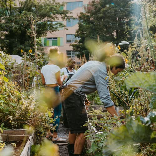 Urban Gardening 2022: Dieser nachhaltige Trend kommt jetzt auf Balkon und Terrasse - und rettet nebenbei die Bienen