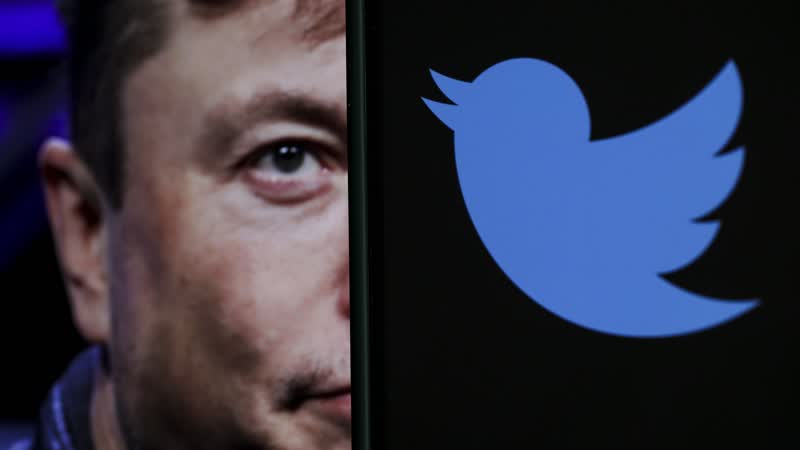 Elon Musk will verbannte Twitter-Accounts wiederbeleben