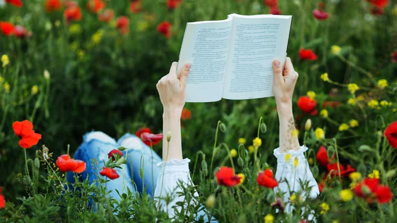 Bücher für den Sommer: Das lesen wir 2022 im Urlaub!